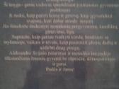 A.svijašas - nuotraukos Nr. 7