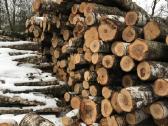 Malkos miškoveżiais,supjautas kalademis skaldytos - nuotraukos Nr. 5
