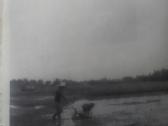 Knygos 1980 - ju metų - nuotraukos Nr. 6