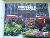 Knyga Brussels