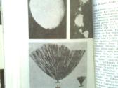 V. Portapas "Idomioji meteorologija" 1990 metai. - nuotraukos Nr. 18