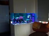 Visokių tipų ir dydžių akvariumų gamyba, įrengimas - nuotraukos Nr. 4