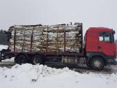 Malkos pigiau! Beržas,uosis,ąžuolas,alksnis. - nuotraukos Nr. 14