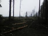 Tvarkome apleistus laukus,zemes.mokame nuo 500eu/h - nuotraukos Nr. 15
