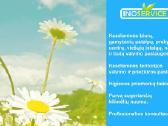 Valymo Paslaugų Profesionalai - nuotraukos Nr. 6