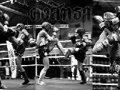 Vasaros Muay Thai treniruotės Vilniuje.