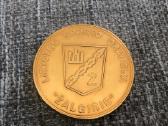 Žalgirio medalis