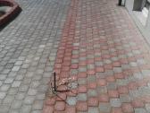 Trinkeliu klojimas/irengimas Klaipeda ir rajone - nuotraukos Nr. 9