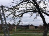Gyvatvorių kirpimas, sodų purškimas - nuotraukos Nr. 3