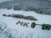 Kokybiškos Lapuočių Malkos, Klaipėda - nuotraukos Nr. 2