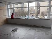 Valymas patalpų ir kt. - nuotraukos Nr. 13