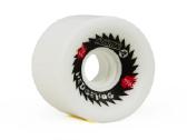 Longboard dalys - nuotraukos Nr. 23