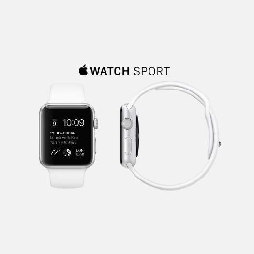 forerunner 245 vivoactive 3