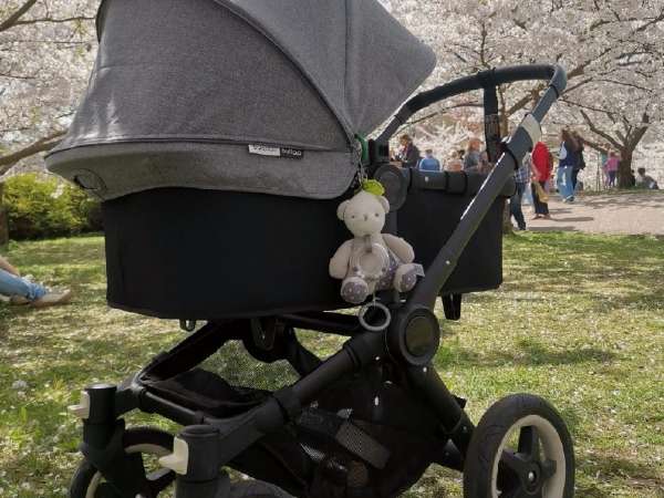 Bugaboo buff sales