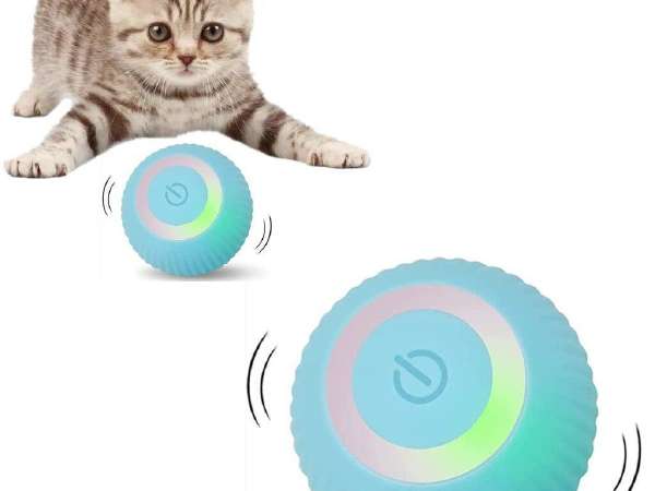 Zaislai Didmena Skelbimai Skelbiu lt Zaislai Didmena Skelbimai Skelbiu lt