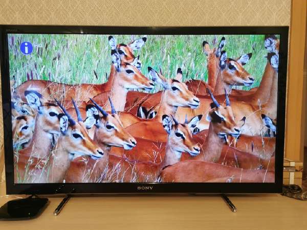sony kdl 40 skelbimai - Skelbiu.lt