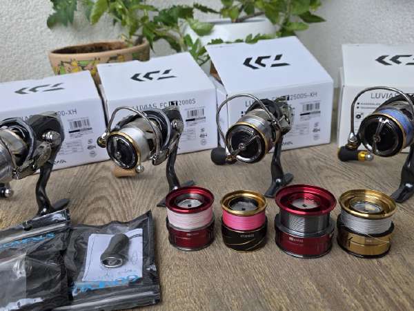 ザミア・フロリダーナ　多頭タイプ‼️ no2　BEST　PRICE！！ Seaguar R18 Kanzen Seabass Stealth Gray PEx8 150m