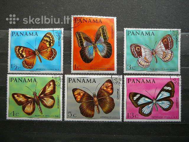 Drugeliai Panama antsp. pnm358
