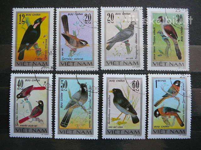 Pauksciai Vietnamas antsp. alb442