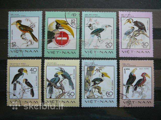 Pauksciai Vietnamas antsp. alb443