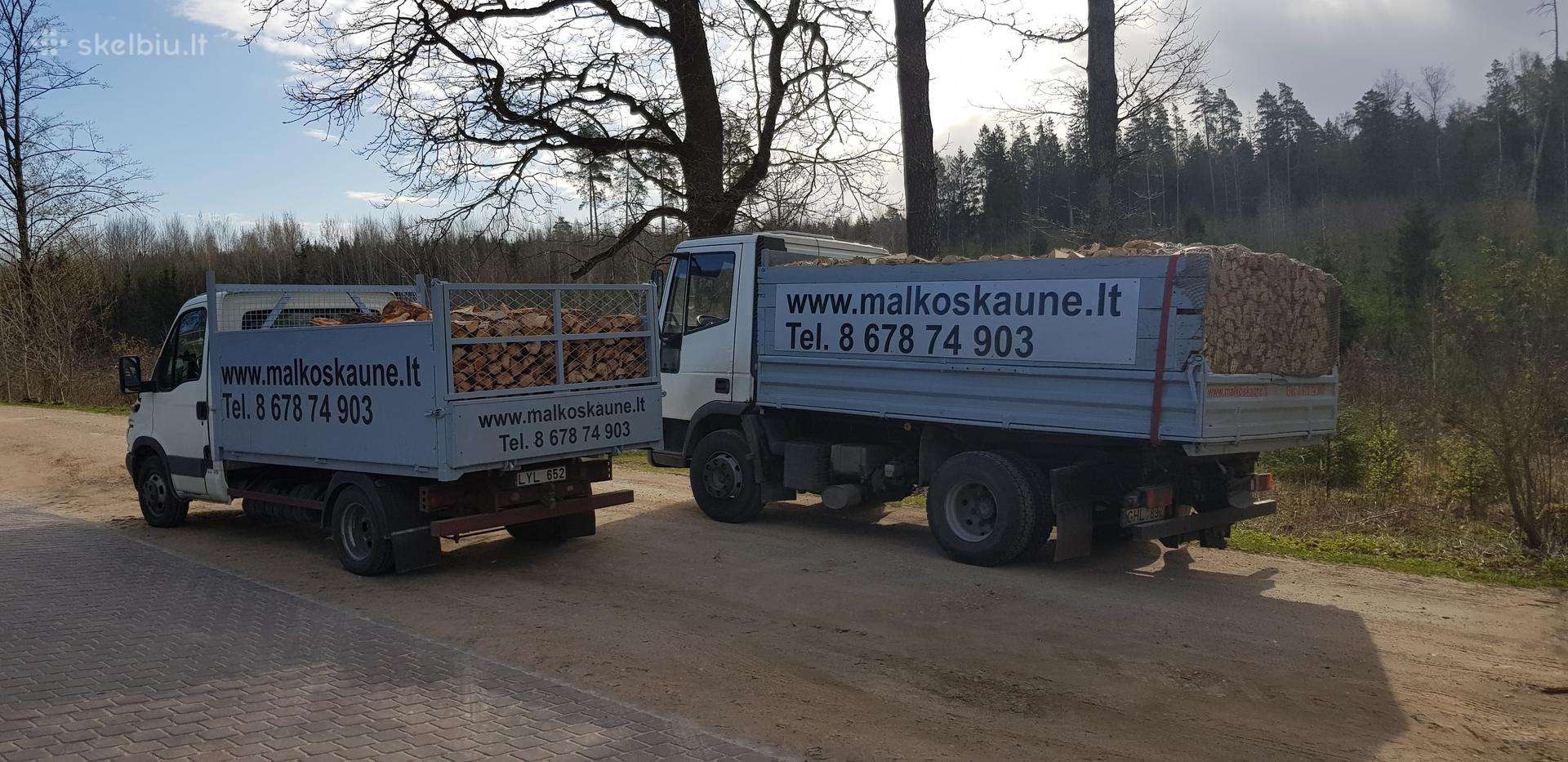 Malkos Kaune ir aplinkui