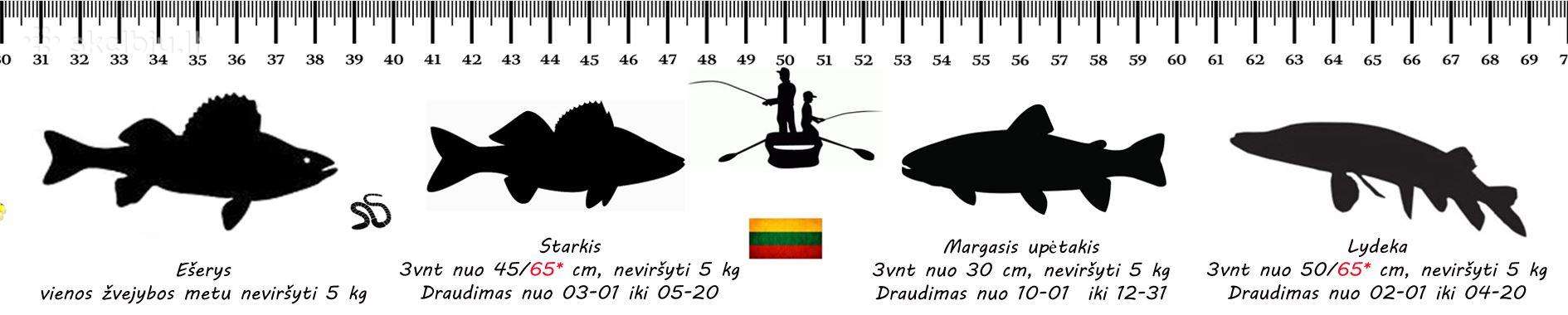 Lipdukas - liniuotė žuvims matuoti