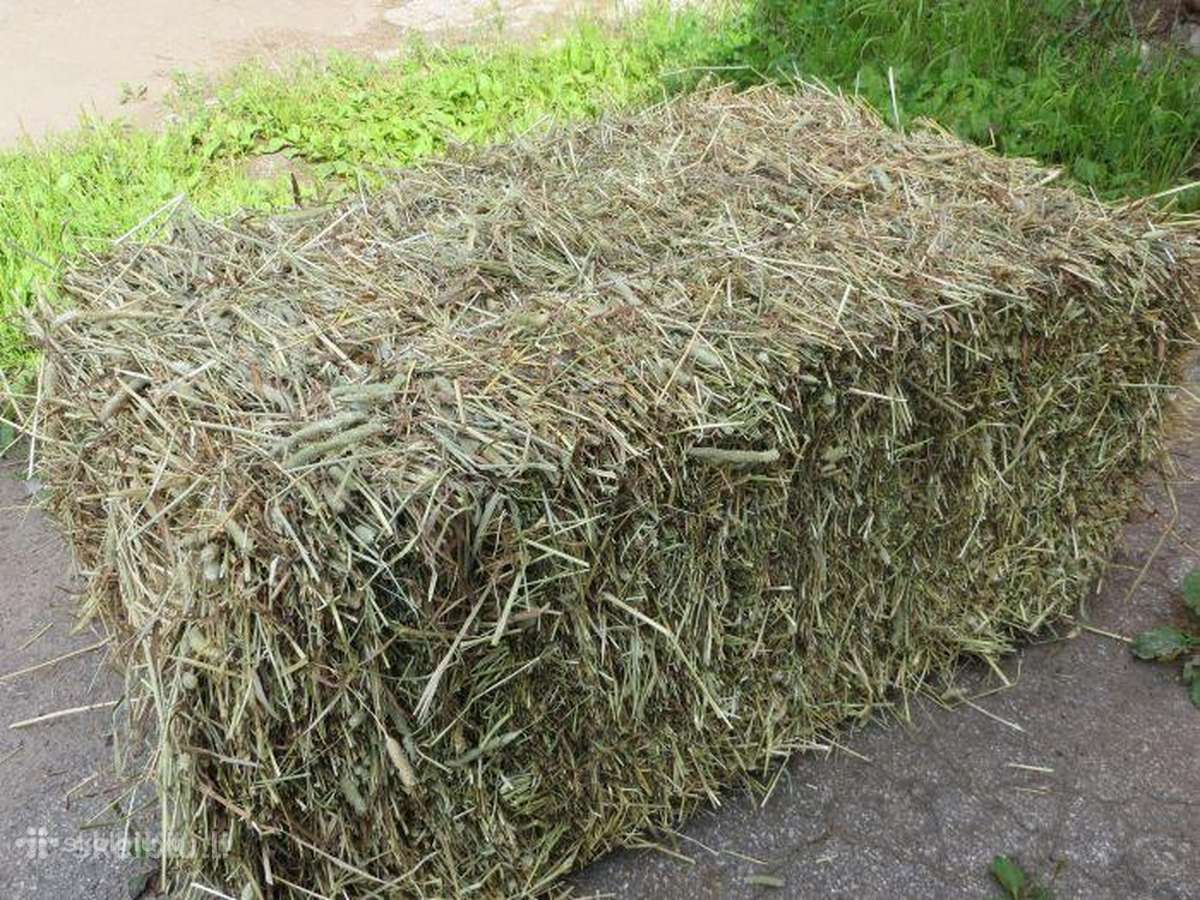 Parduodu šieno kitkas