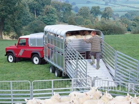 Ifor Williams, passenger car trailers
