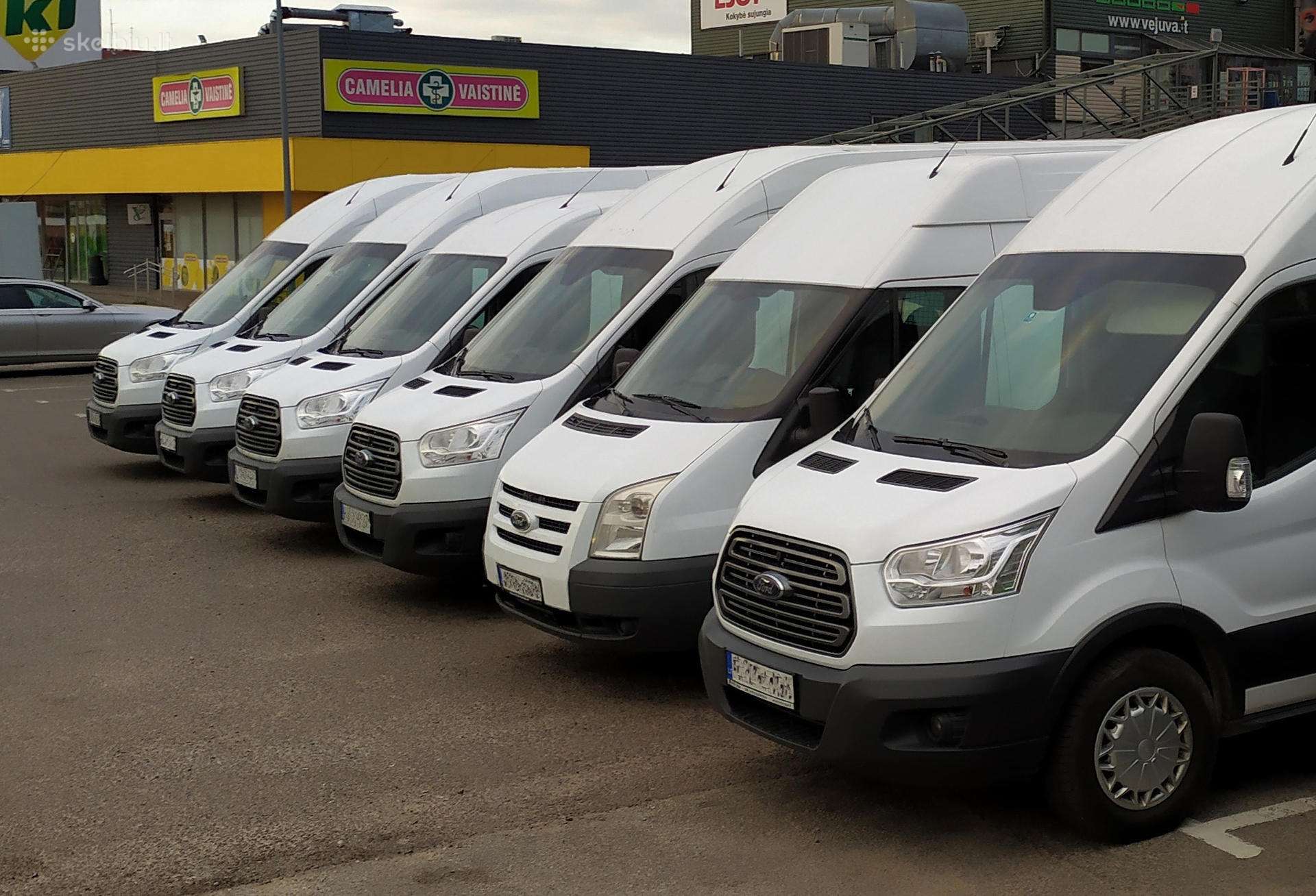Ford Transit, грузовые микроавтобусы