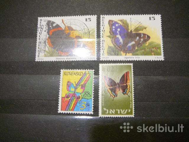 Drugeliai antsp. sgr126