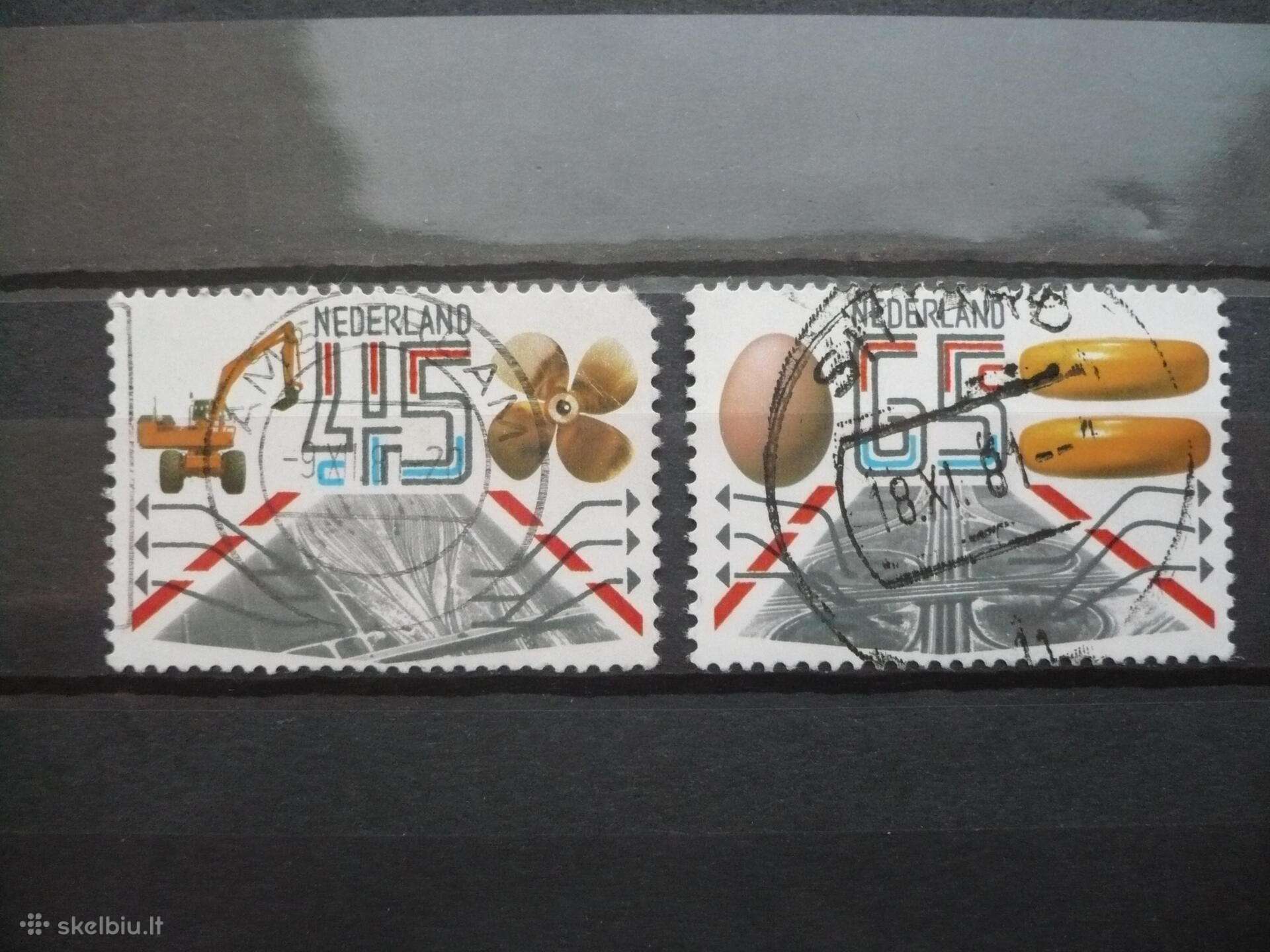 1981 m. Eksportas