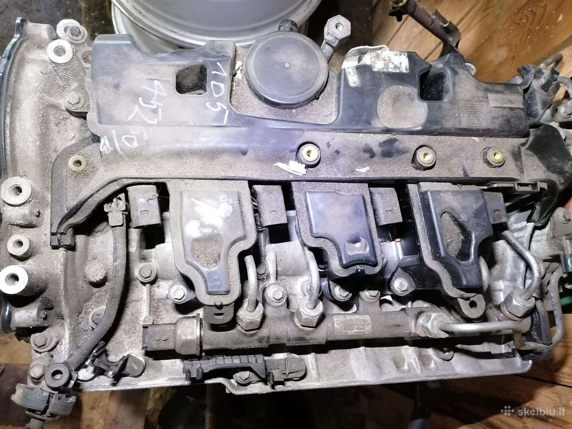 Renault, kita