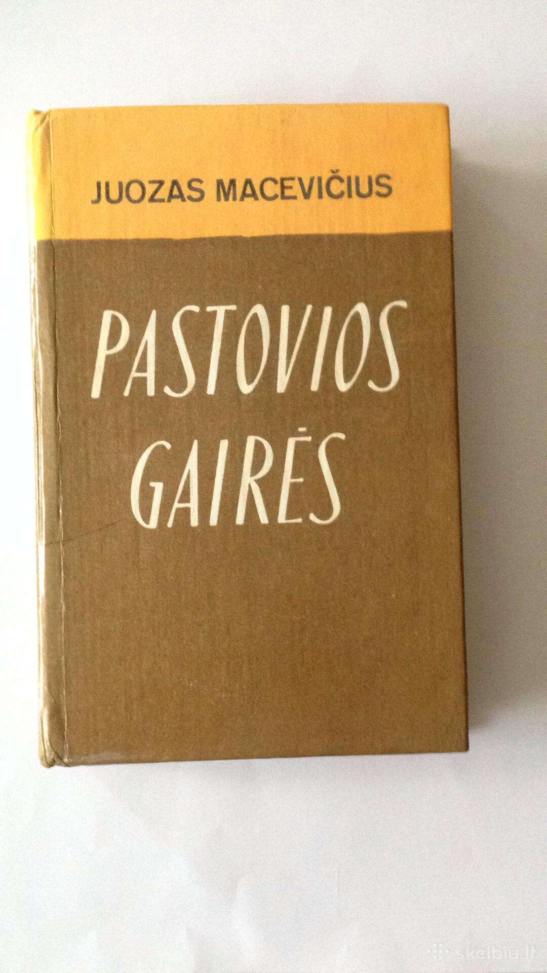 Knyga: Macevičius Juozas Pastovios gairės