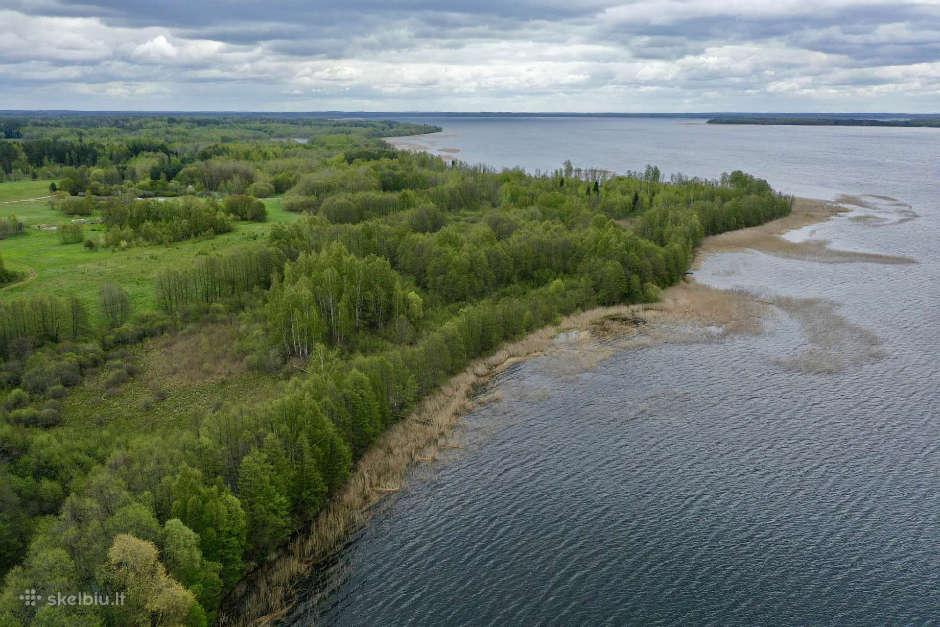 5,5 Ha prie Drūkšio ežero