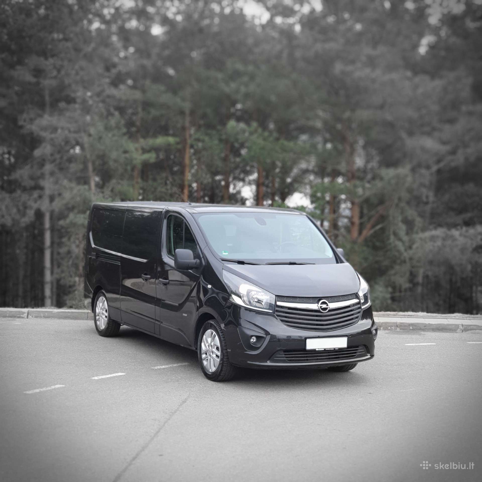 Tarptautinis Palaikų pervežimas