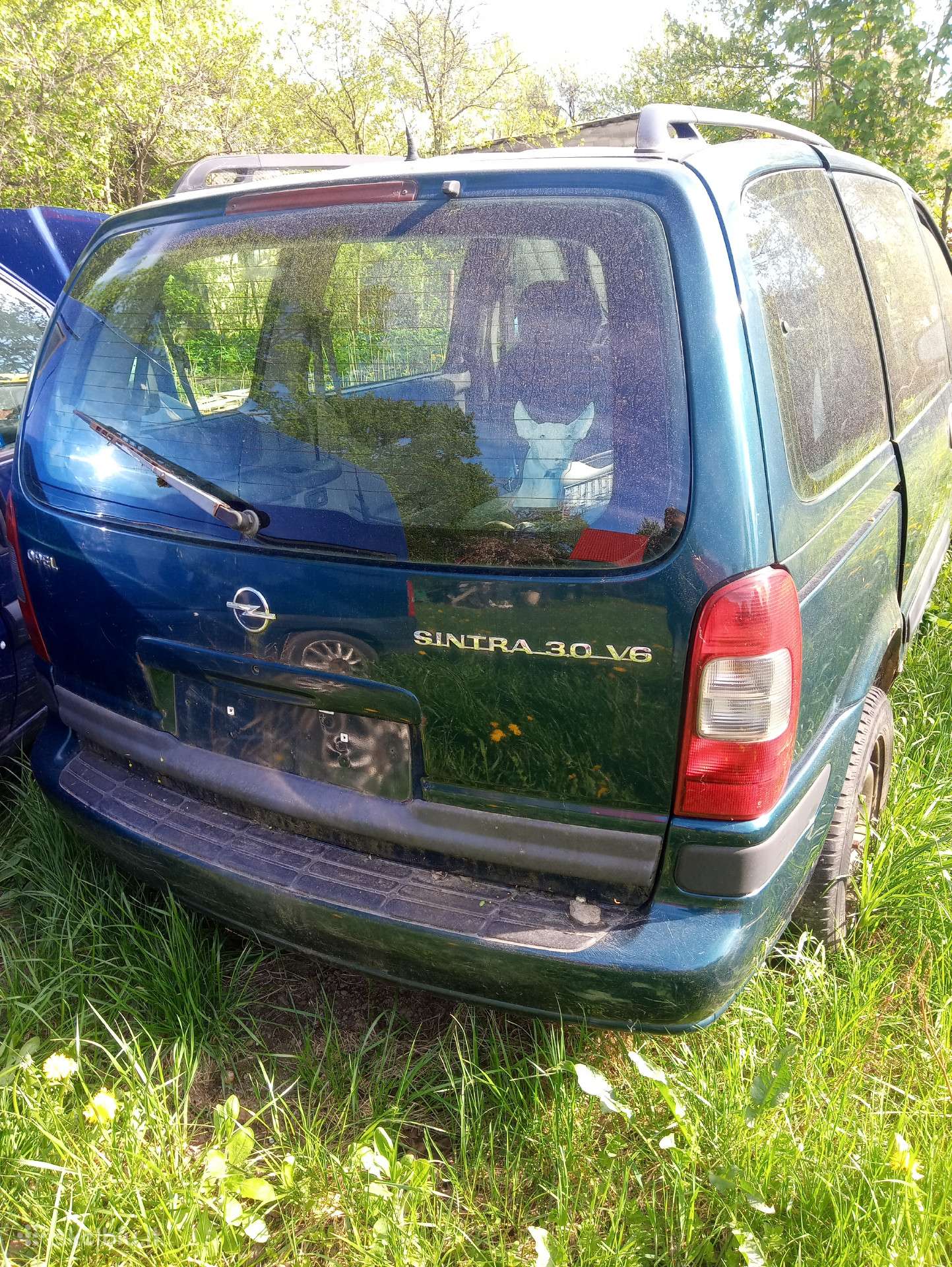 Opel sintra