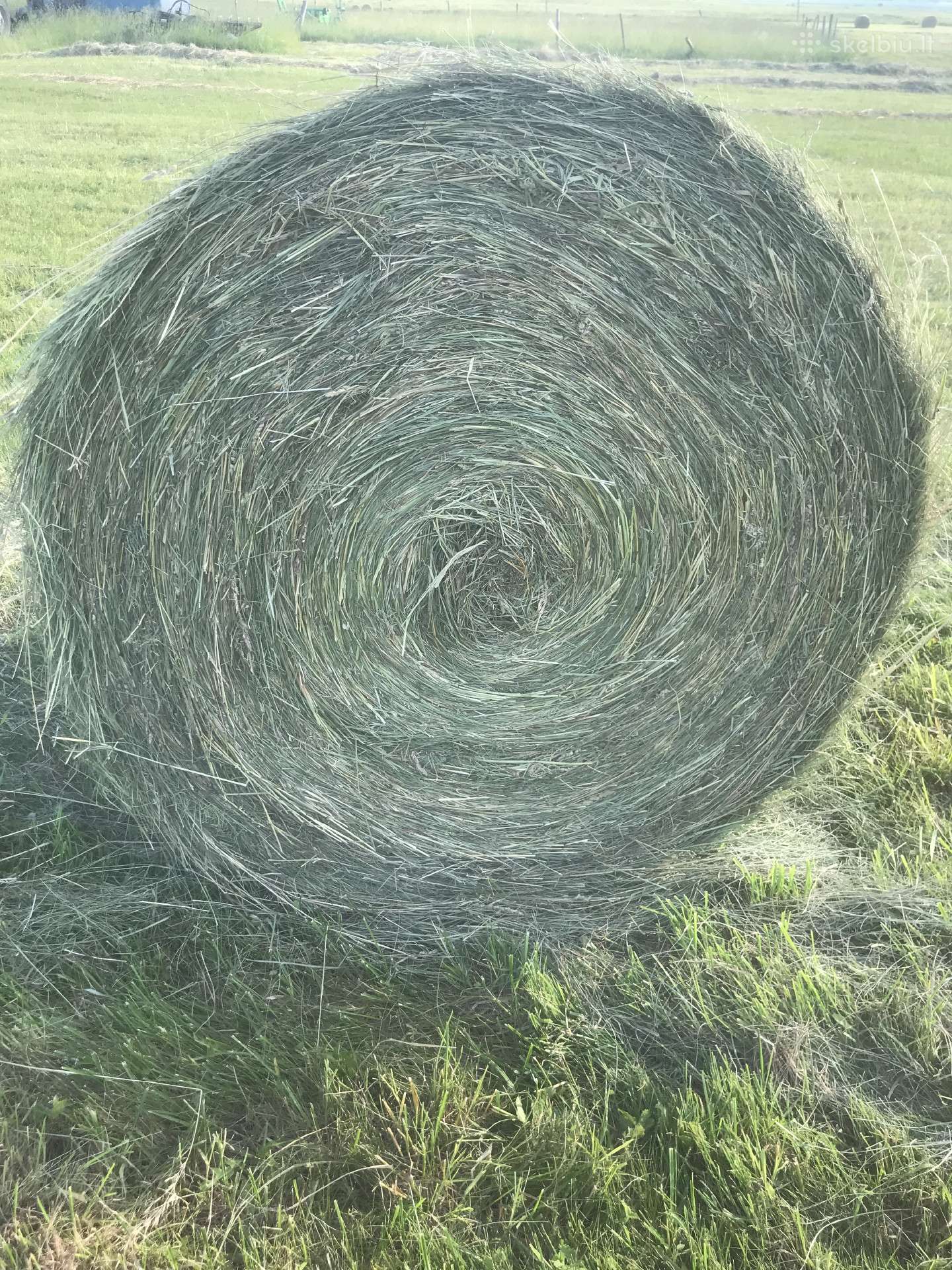 Šienas rulonuose
