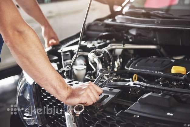 Ieškomas Automobilių Ardytojas,prekių pakuotoja