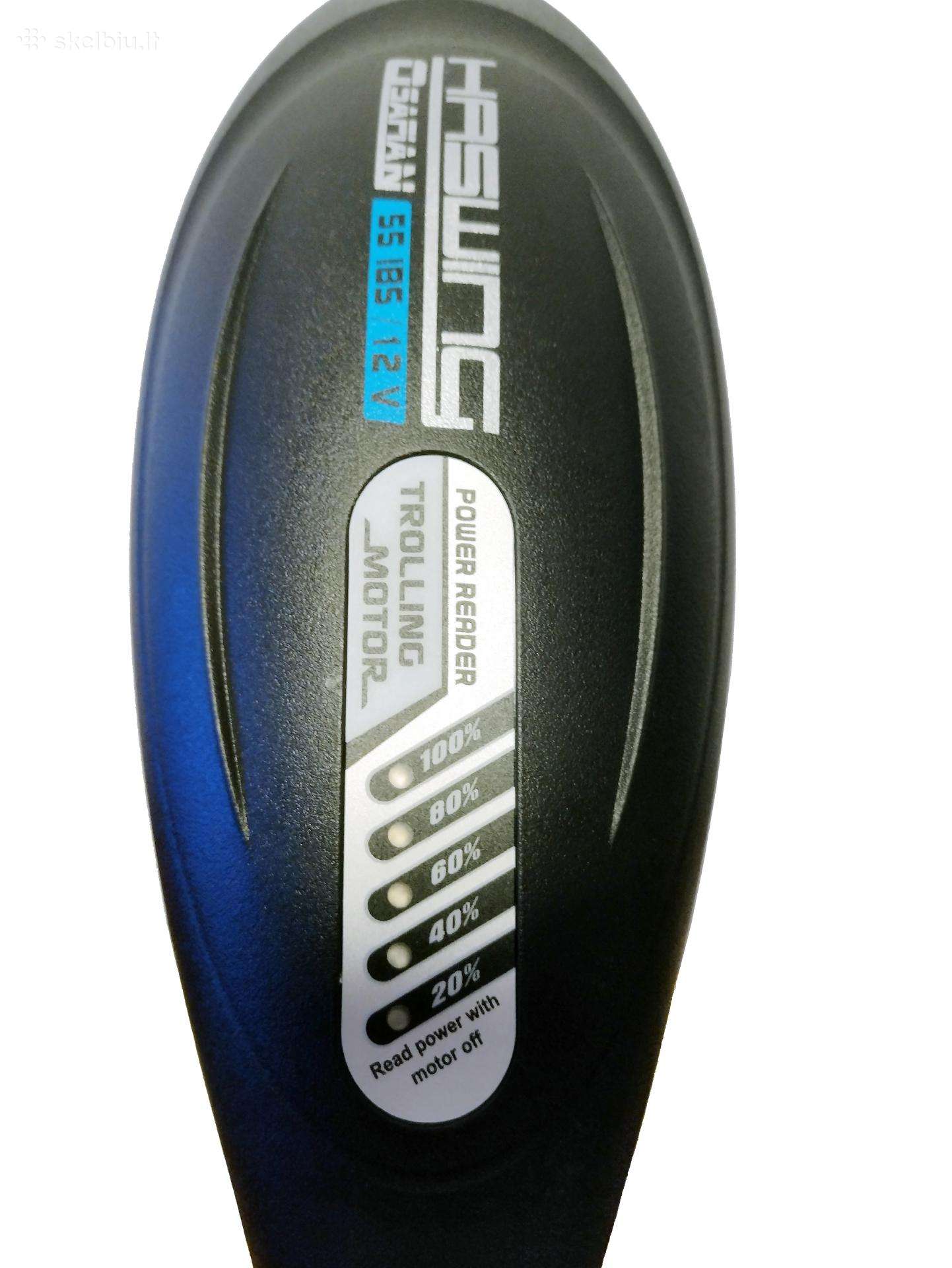 Haswing Osapian 30, electric