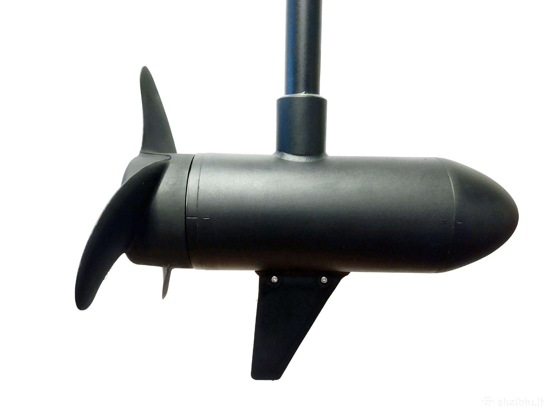 Haswing Osapian 30, electric