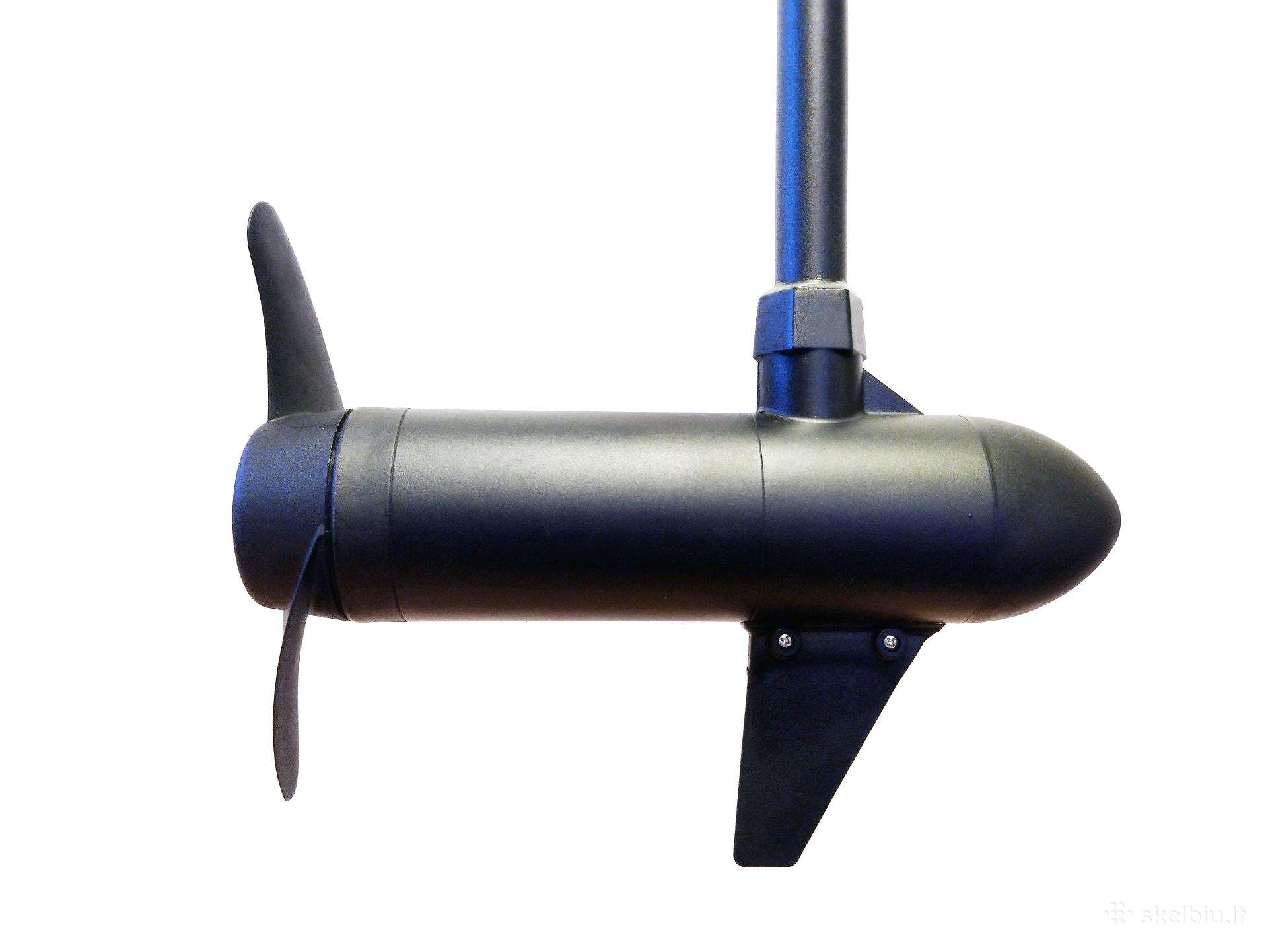 Haswing Osapian 30, electric