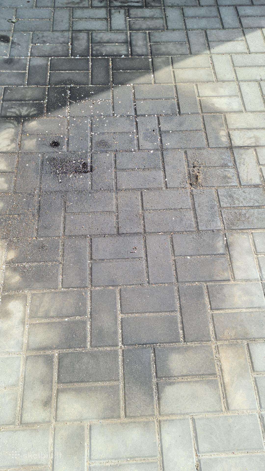 Kaip išvalyti tepalo, dyzelino dėmes nuo trinkelių