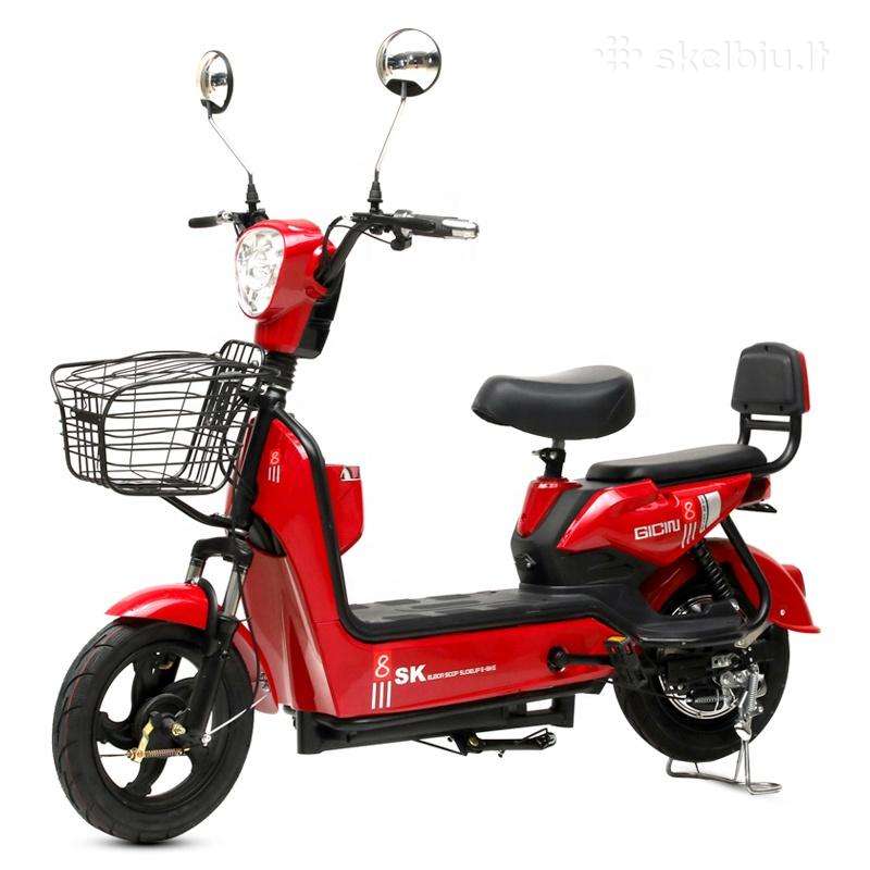 Electric bike -Kita-