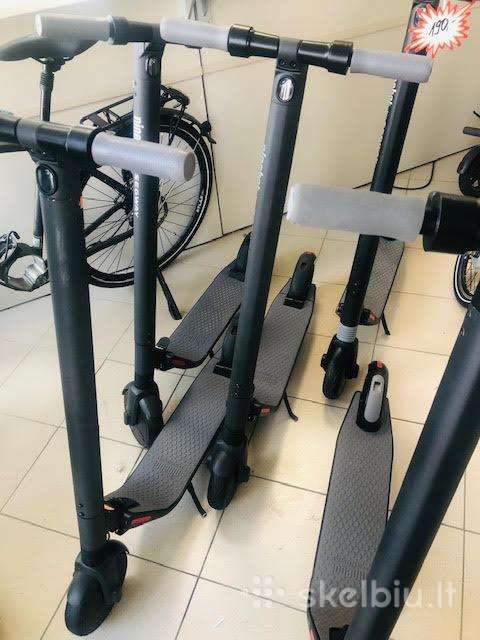 Electric scooter Ninebot
