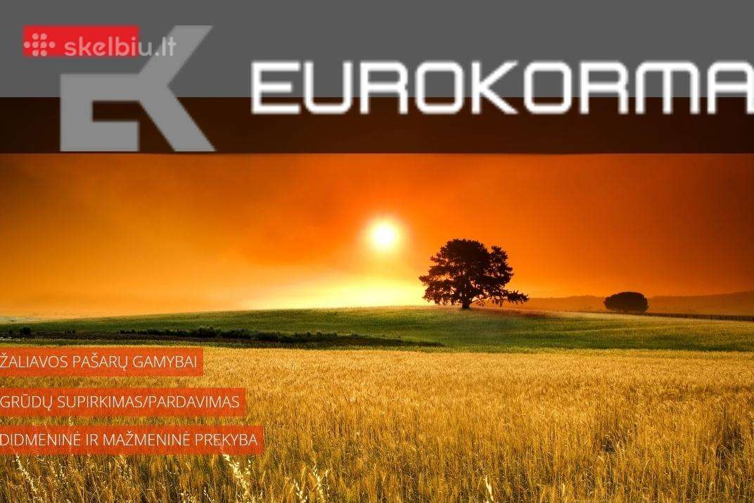 Grūdų supirkimas Marijampolėje.