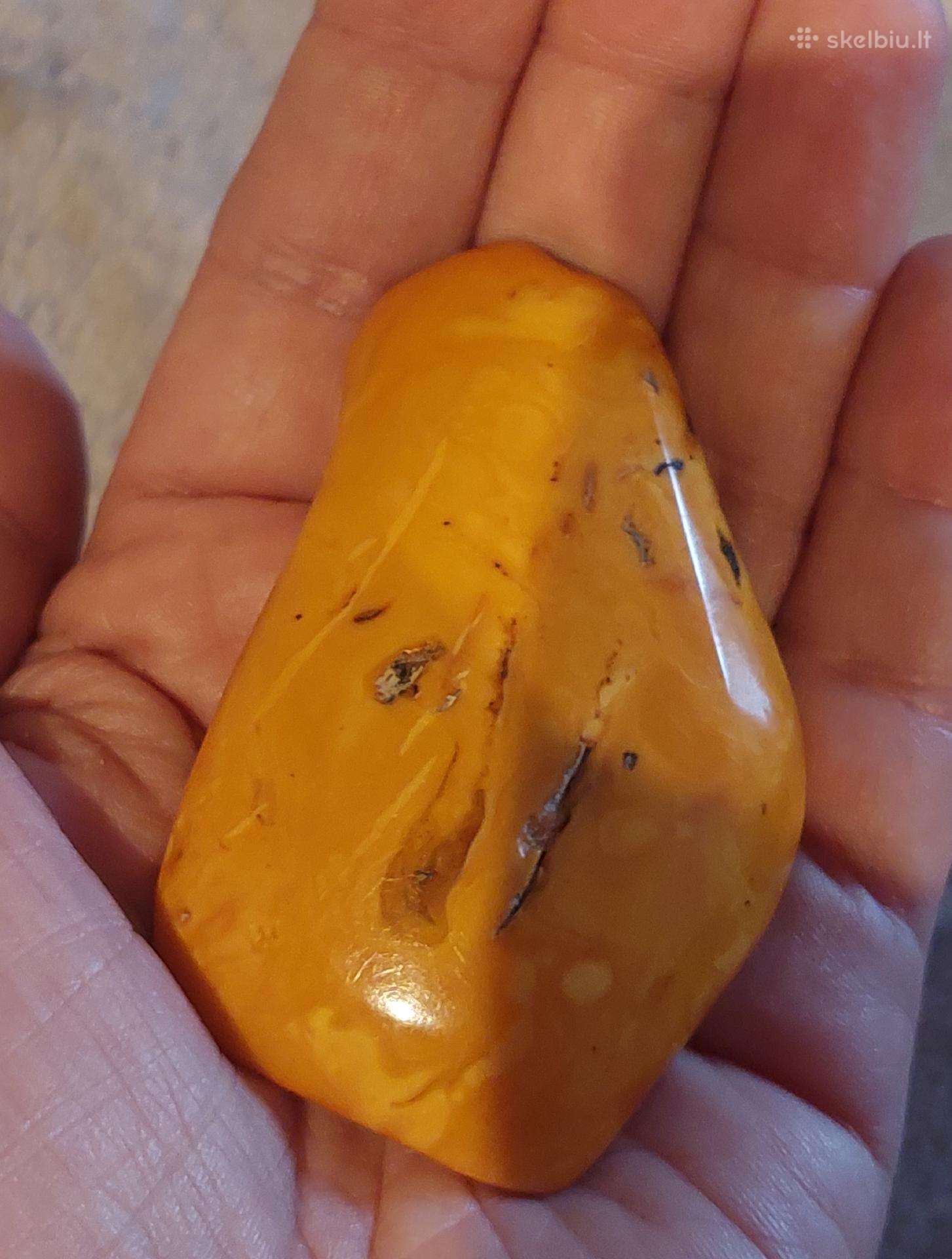Gintaro grynuolio segė 23.94 g.