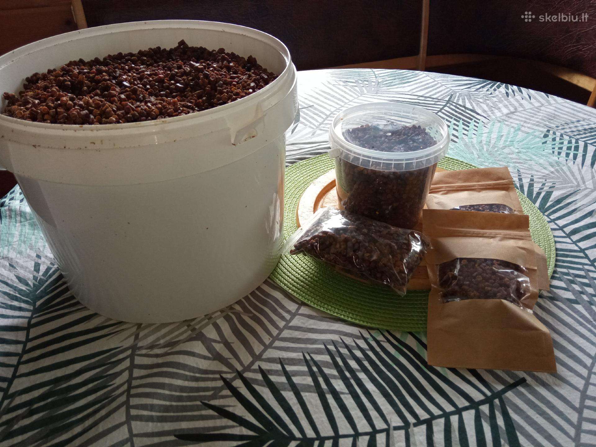 Bičių duonelė perga bee bread