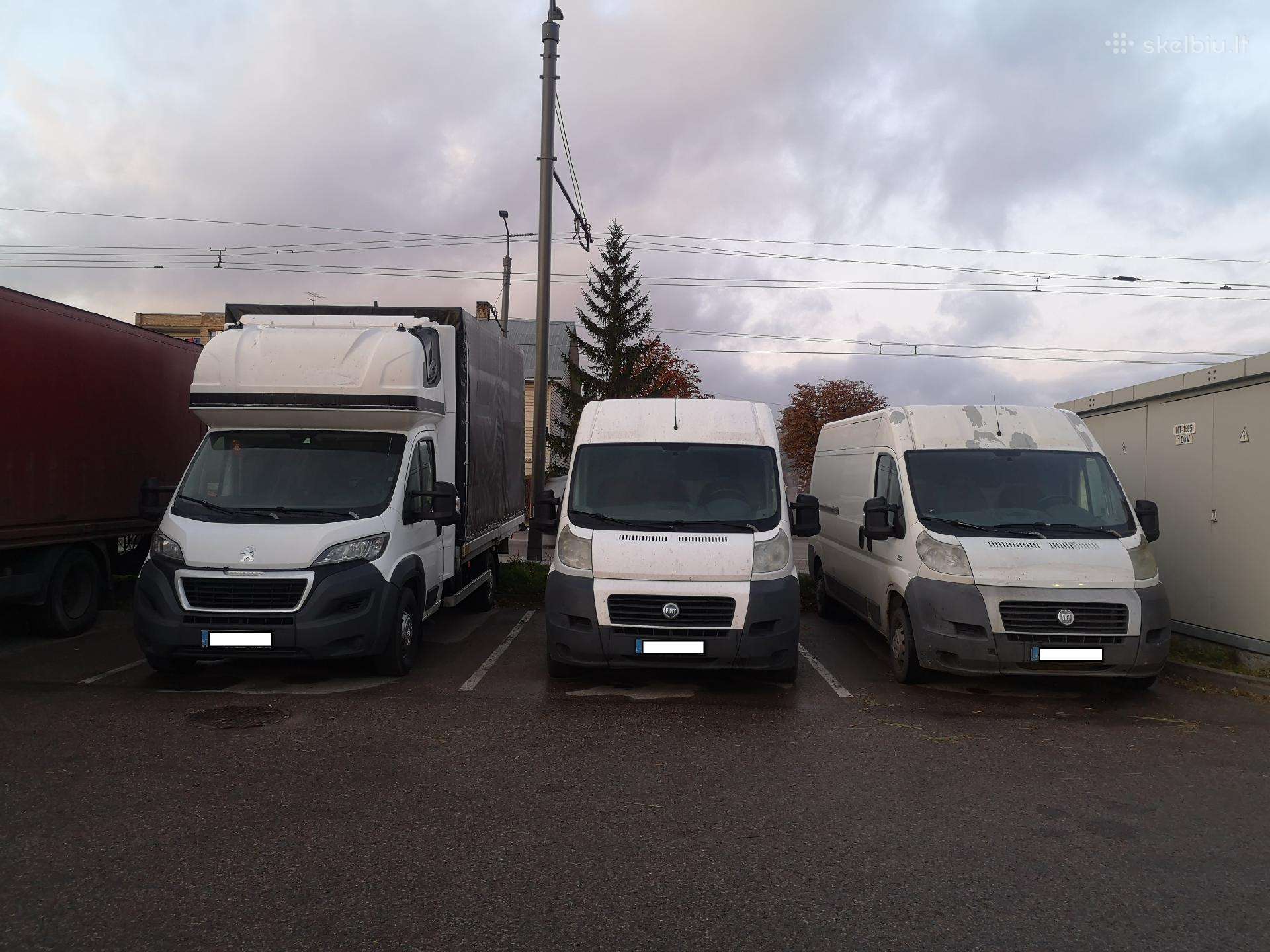 Fiat Ducato, cargo van
