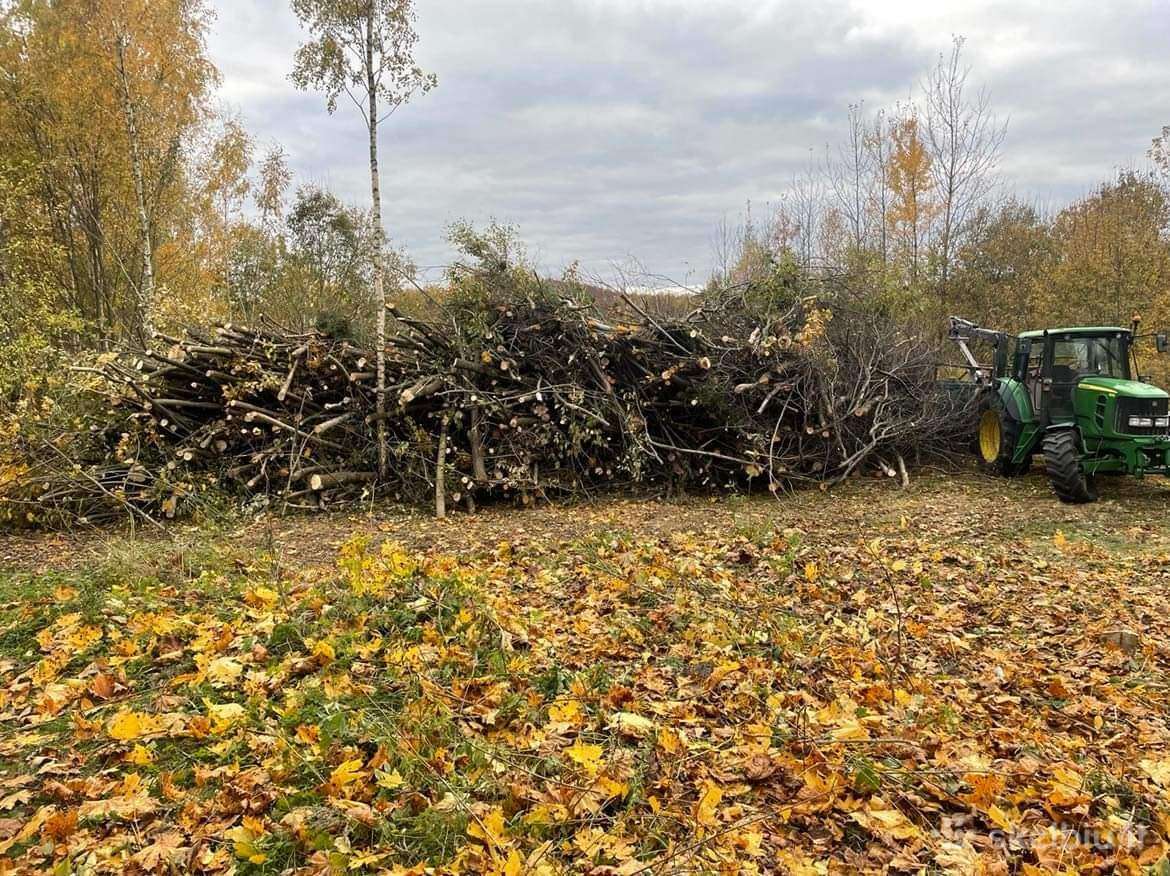 Nemokamas krūmų kirtimas, naikinimas
