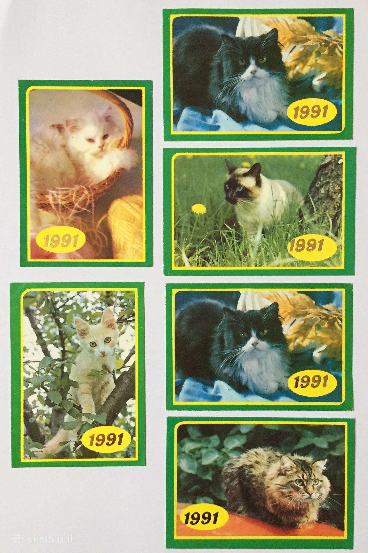 Kalendoriukai "Katės"